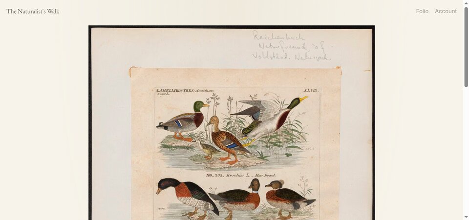 The Naturalist's Walk homepage